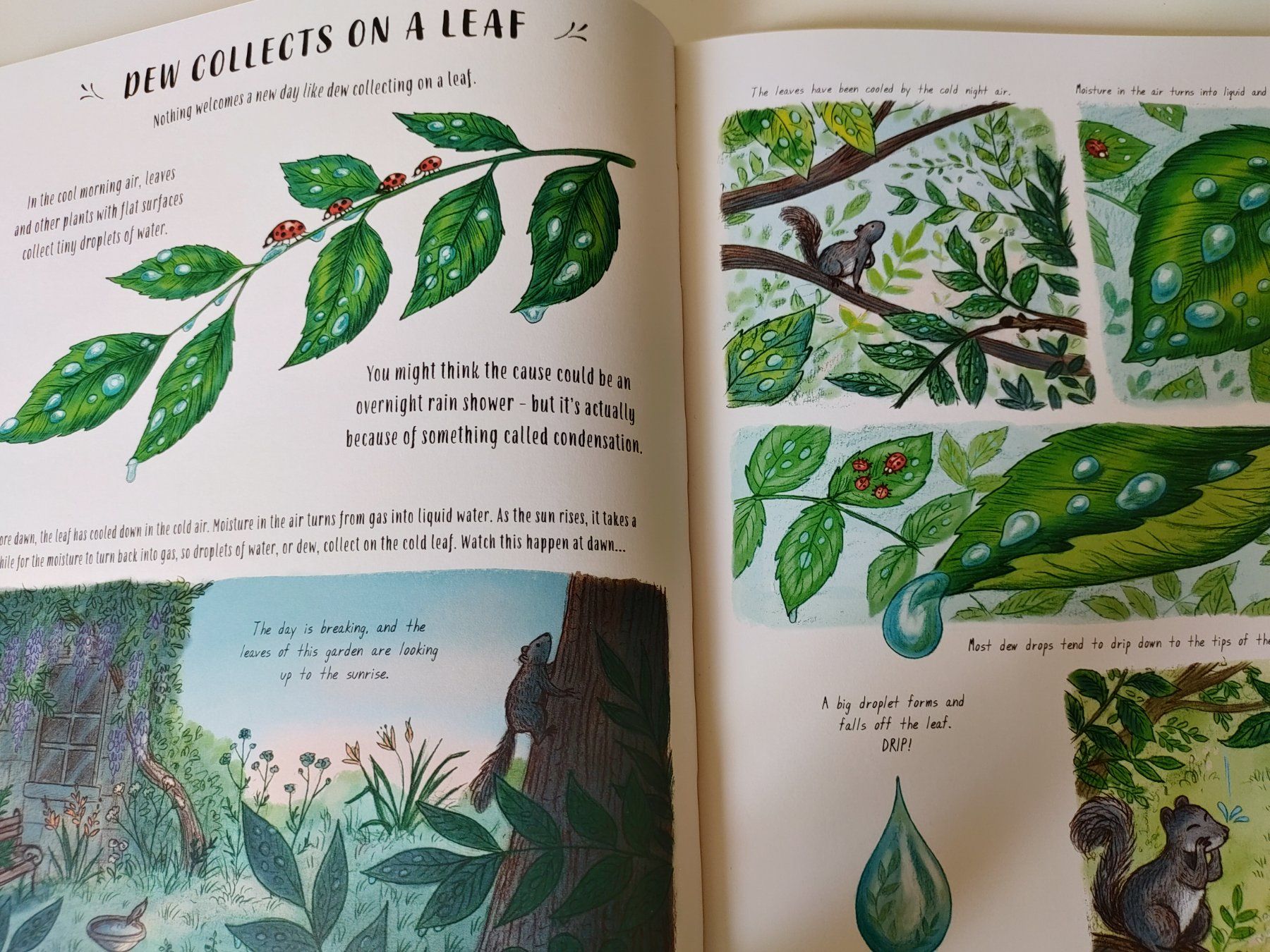 Libri: Children's Book: Slow down – Usato da Zürich venduto da Mar_Mic 1