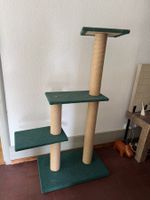 Katzenbaum