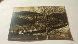 Uralte Ansichtskarte : Immensee , Dorfansicht um 1919