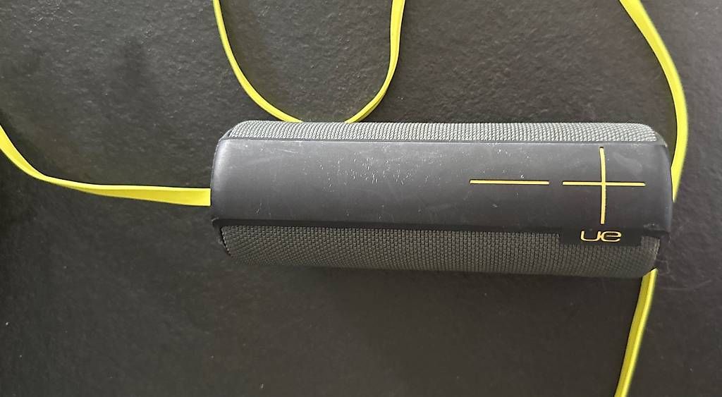 Casse acustiche: Ue Boom – Usato da Losone venduto da Pierins