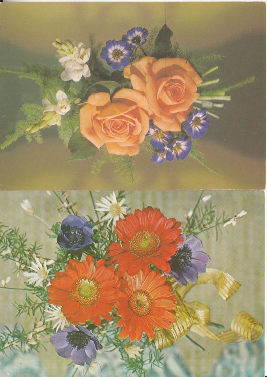Cartoline postali: Floristik ca. 1970, 7 Karten – Usato da Bürglen TG venduto da StampGraf 5