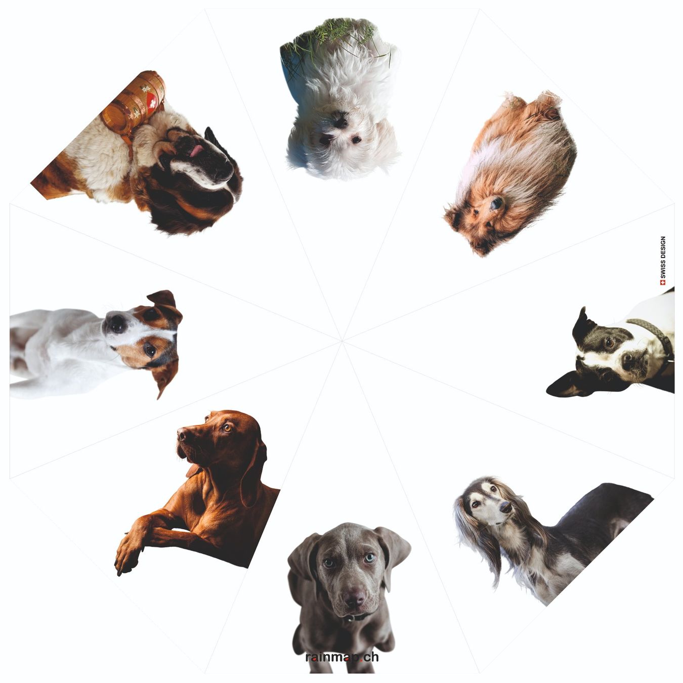Regenschirme: Schirm mit Hundefotos – Neu und originalverpackt aus Niederrohrdorf von privat23