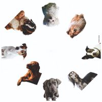 Schirm mit Hundefotos