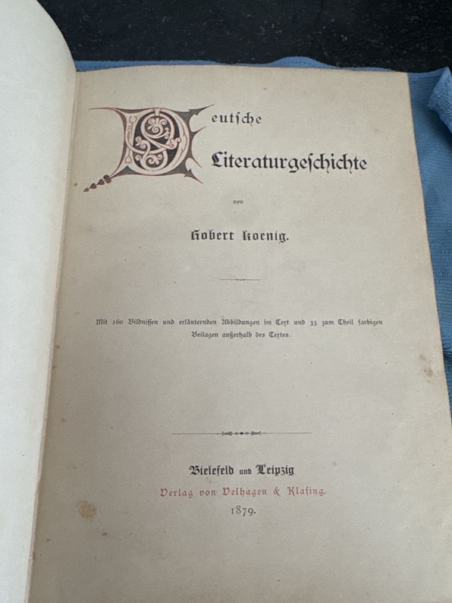 Libri: Buch, deutsche Literatur Geschichte 1879 – Usato da Siebnen venduto da Micha1307 2