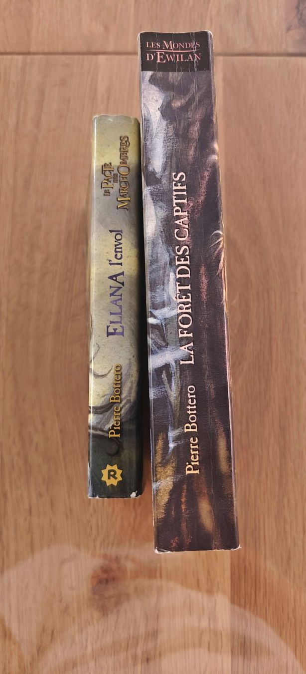 Libri: Ewilan, Ellana de Bottero – Usato da Champtauroz venduto da Rynn423 3