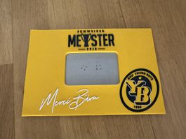 YB Aussteller Meister 2018