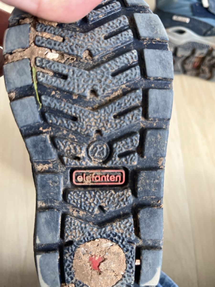 Scarpe per ragazzi: Schuhe Grösse 23 Elefanten – Usato da Herznach venduto da Leimsa 4