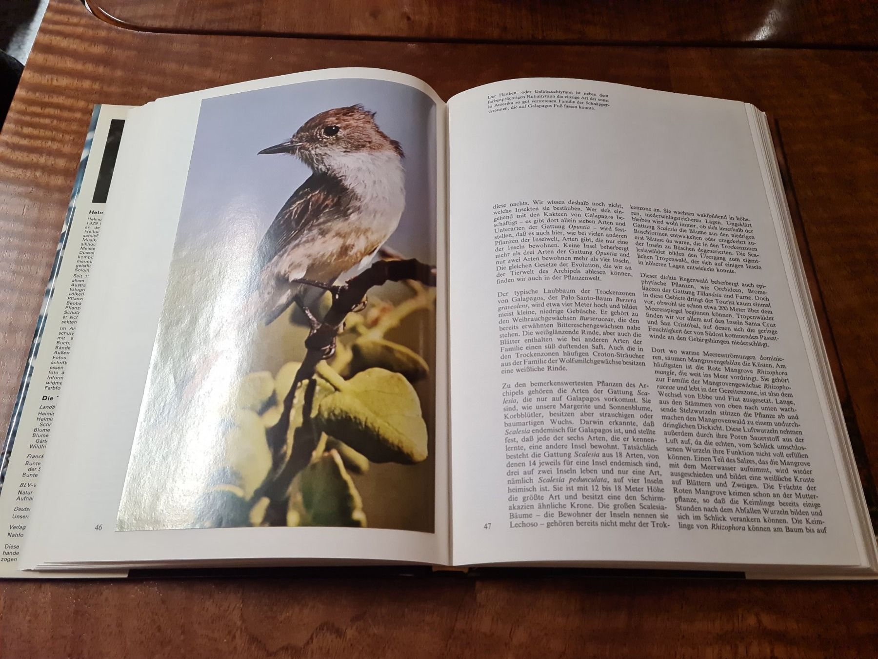 Bücher: Zoo Galapagos – Gebraucht aus Erstfeld von Uhu1980 3