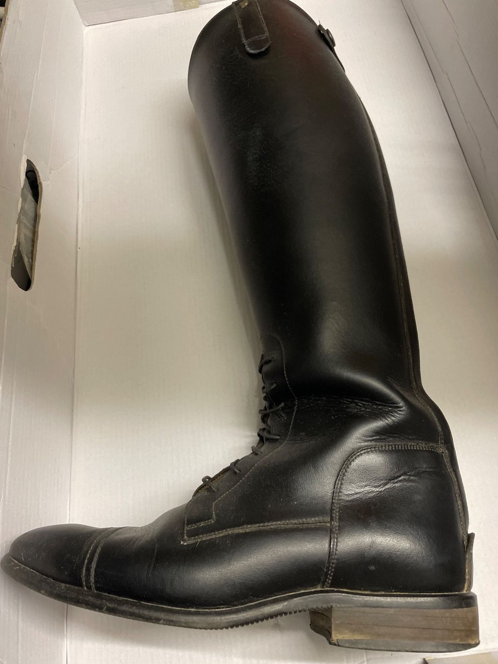 Scarpe da donna: Reitstiefel Leder Petrie 37 – Usato da Aesch BL venduto da shuja01