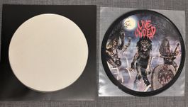 Slayer Live Undead Vinyl Picture Disc guter Zustand