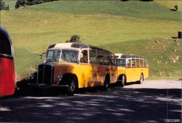 Postautos // Saurer Urigen // Foto
