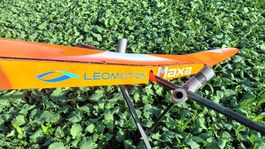 Leomotion-MAXA-Vladimir, Flügel:strong, top Oberfläche.
