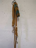 Hundeleine mit Halsband