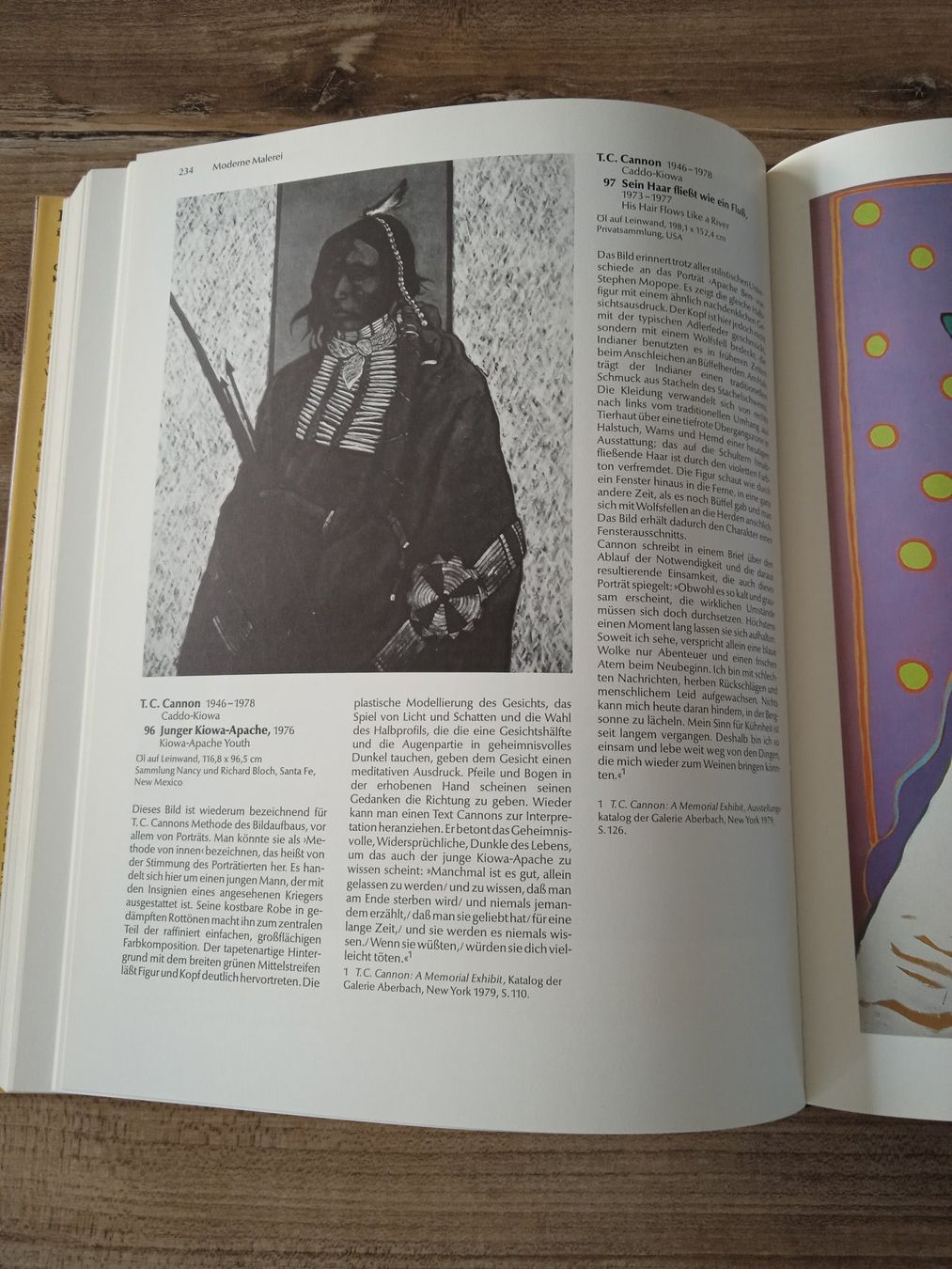 Libri: Indianische Kunst im 20.Jahrhundert – Usato da Rothrist venduto da MaSa82 6