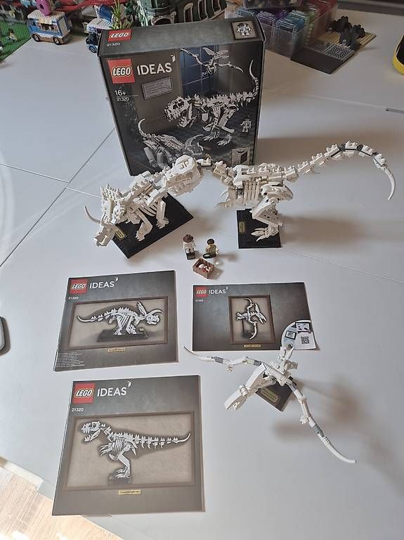Lego Kit di costruzioni: Lego Ideas 21320 – Usato da Fey venduto da vsuso