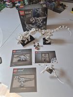 Lego Ideas 21320