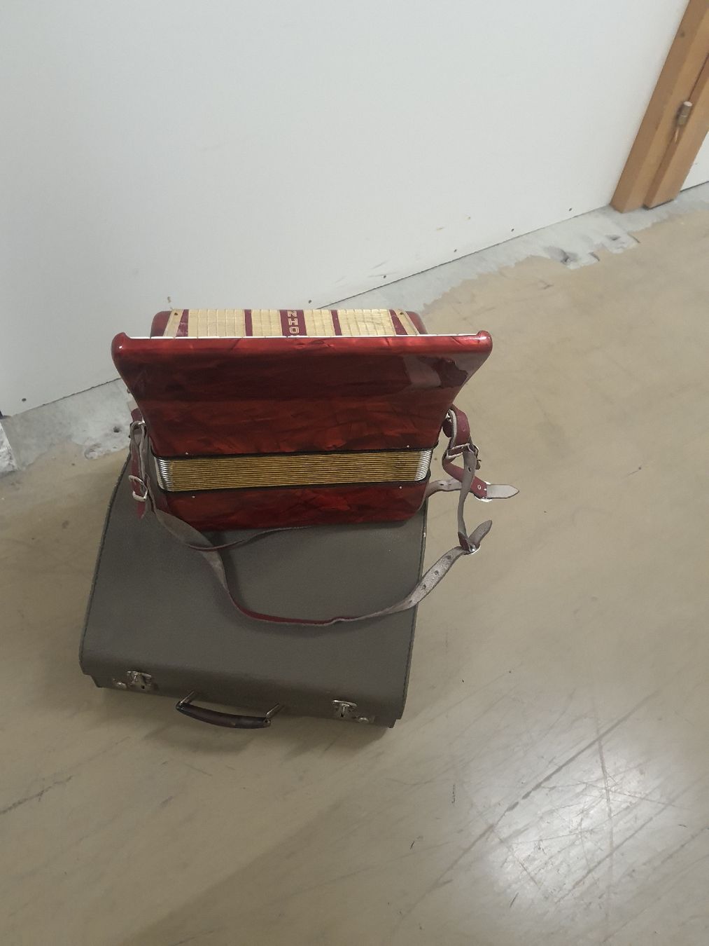 Hohner Strumenti musicali: accordéon hohner à piano  – Usato da Pont-de-la-Morge venduto da Mirabelle0 4