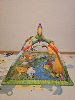 Fisher-Price Spieldecke Tropenregen Dschungel - Top Zustand!