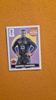Panini FIFA EXTRA Sticker Moises Caicedo Ecuador 