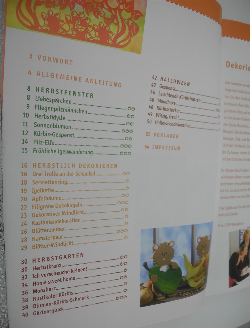 Libri: 3 Bastelbücher, Nr. 25a – Nuovo (secondo la descrizione) da Kottwil venduto da Crazyrolf 8
