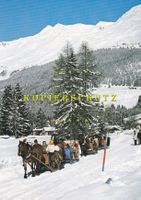 Lenzerheide-Valbella - Pferdeschlittenfahrt /ay