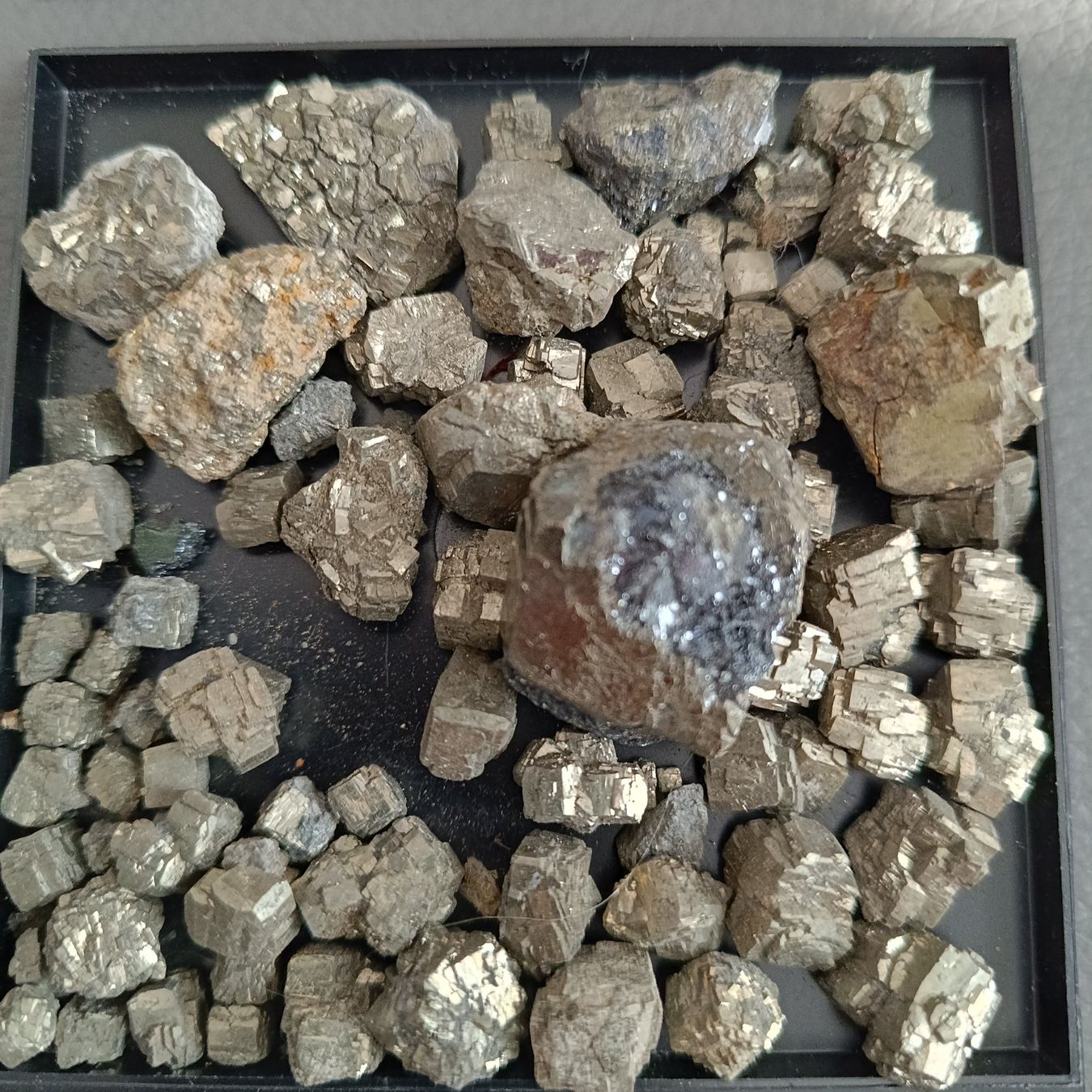 Minéraux & Lithothérapie: Lot Pyrit aus alter Sammlung – D'occasion à Altdorf SH par Dossenbach