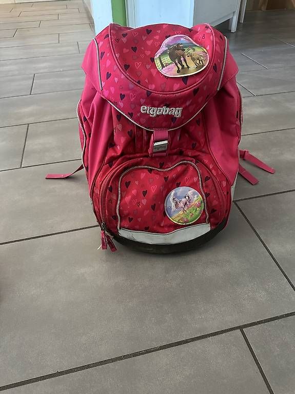 Sacs & sacs à dos: Schulsack Ergobag – D'occasion à Kestenholz par Savier86 1