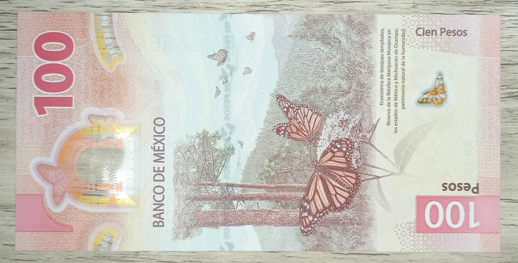 Banknoten: Mexique 100 pesos Polymer UNC – Neu (gemäss Beschreibung) aus Cousset von Patricio77 1