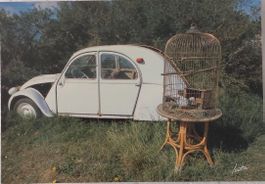 Citroën 2CV et la Colombe