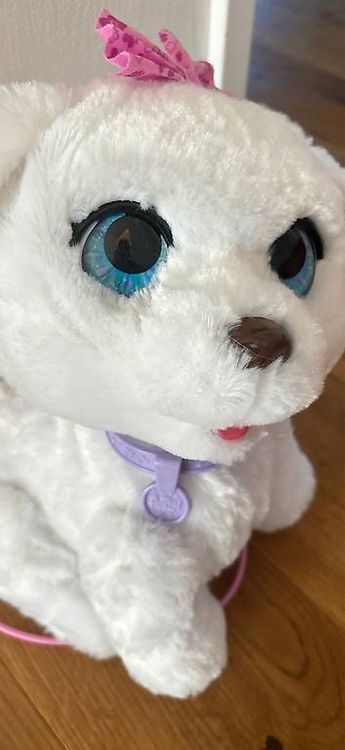 Jouets: FurReal GoGo mein tanzendes Hündchen – D'occasion à Muttenz par MagdalenaRehmann