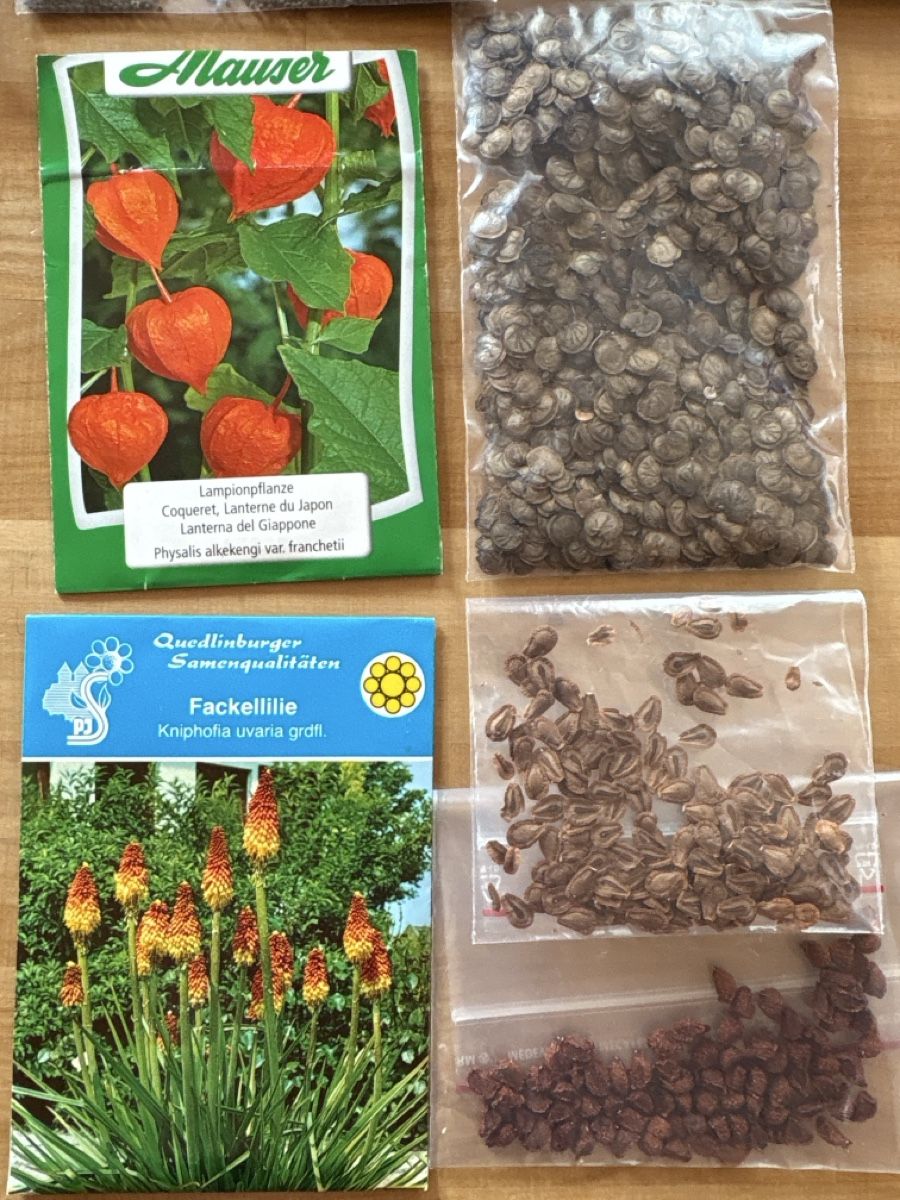 Plantes & graines: Samen Sammlung – D'occasion à Rümlang par Fledermaus35 2