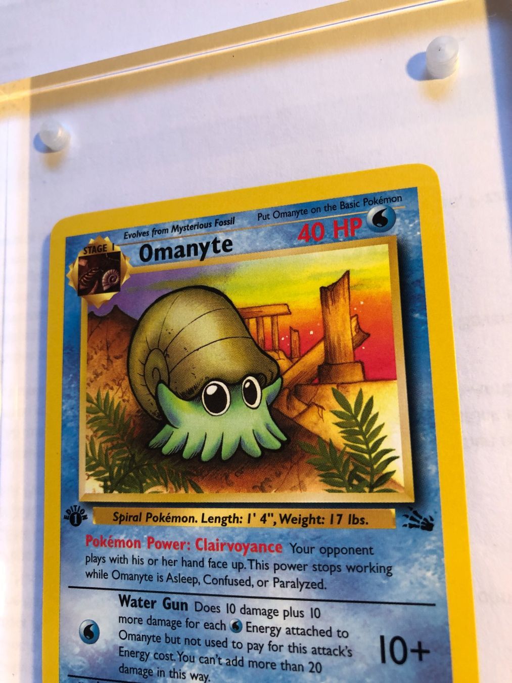 Carte collezionabili: Omanyte 1st Fossil - MINT - ab 1.- – Usato da Giubiasco venduto da dan_pr8b 3