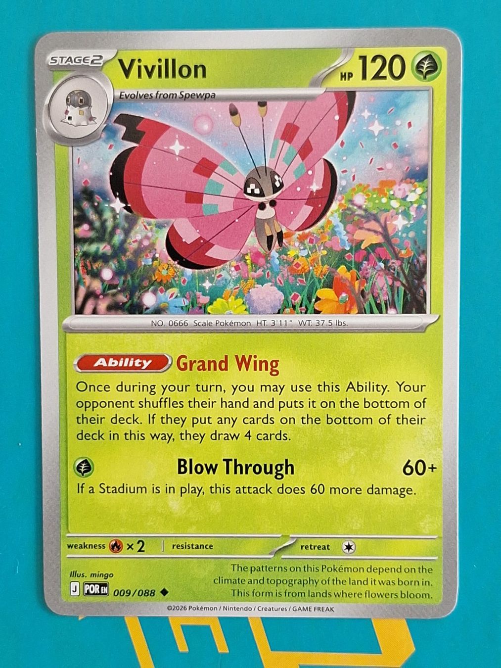 Pokémon Carte collezionabili: Vivillon - Pokemon Perfect Order – Usato da Altstätten SG venduto da GGsGameshop