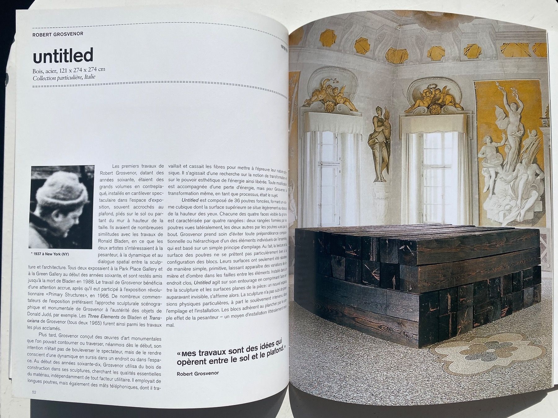 Libri: Art minimal - Flavin - Andre - Judd - Duchamp - Serra – Usato da Zürich venduto da lesgarcons 1