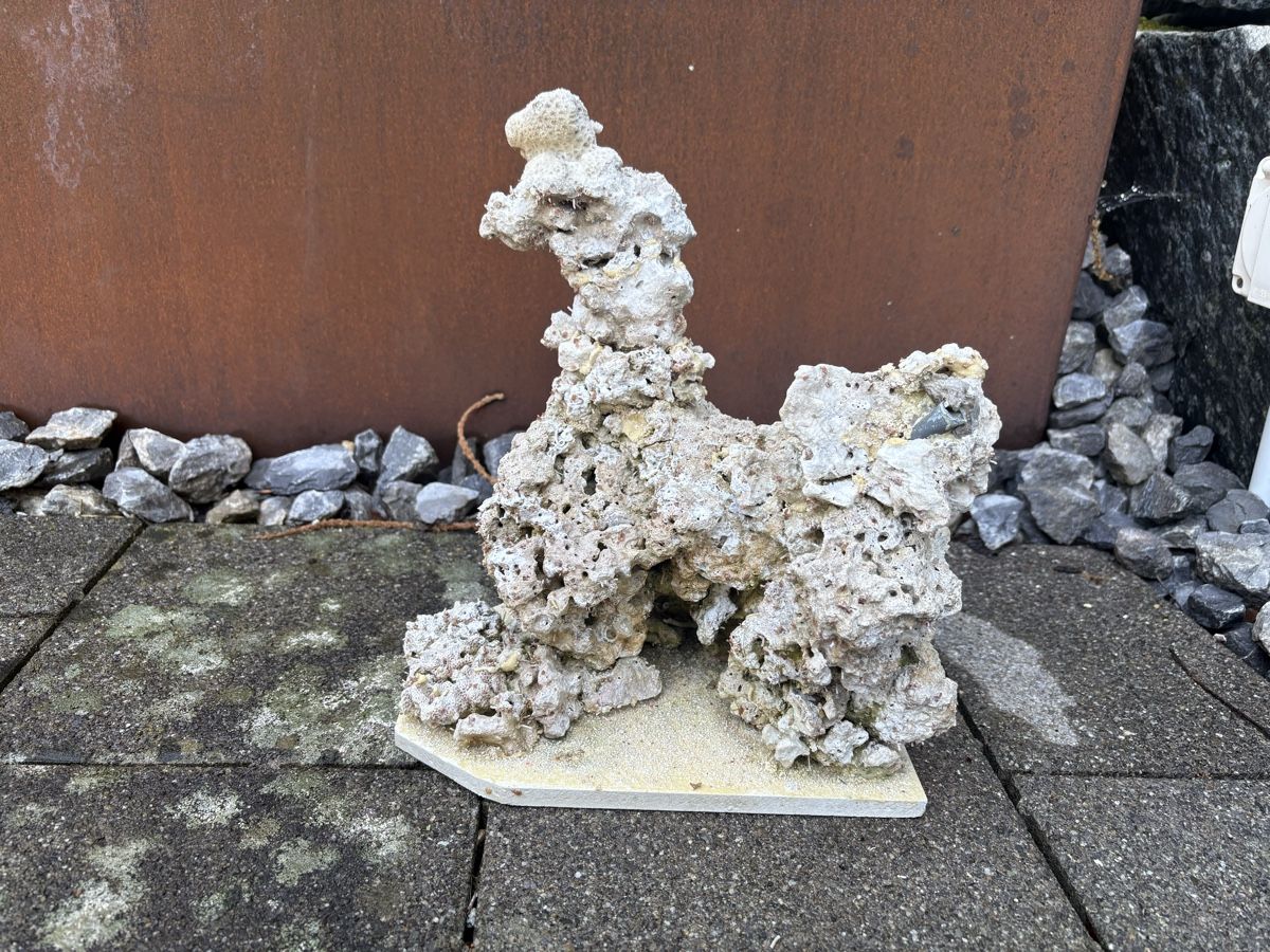 Tutte le decorazioni: Atoll Riffsäulen und jede Menge Riffgestein – Usato da Dürnten venduto da Cx83 1