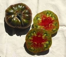 TOMATE ANANAS NOIRE  RARE 10g