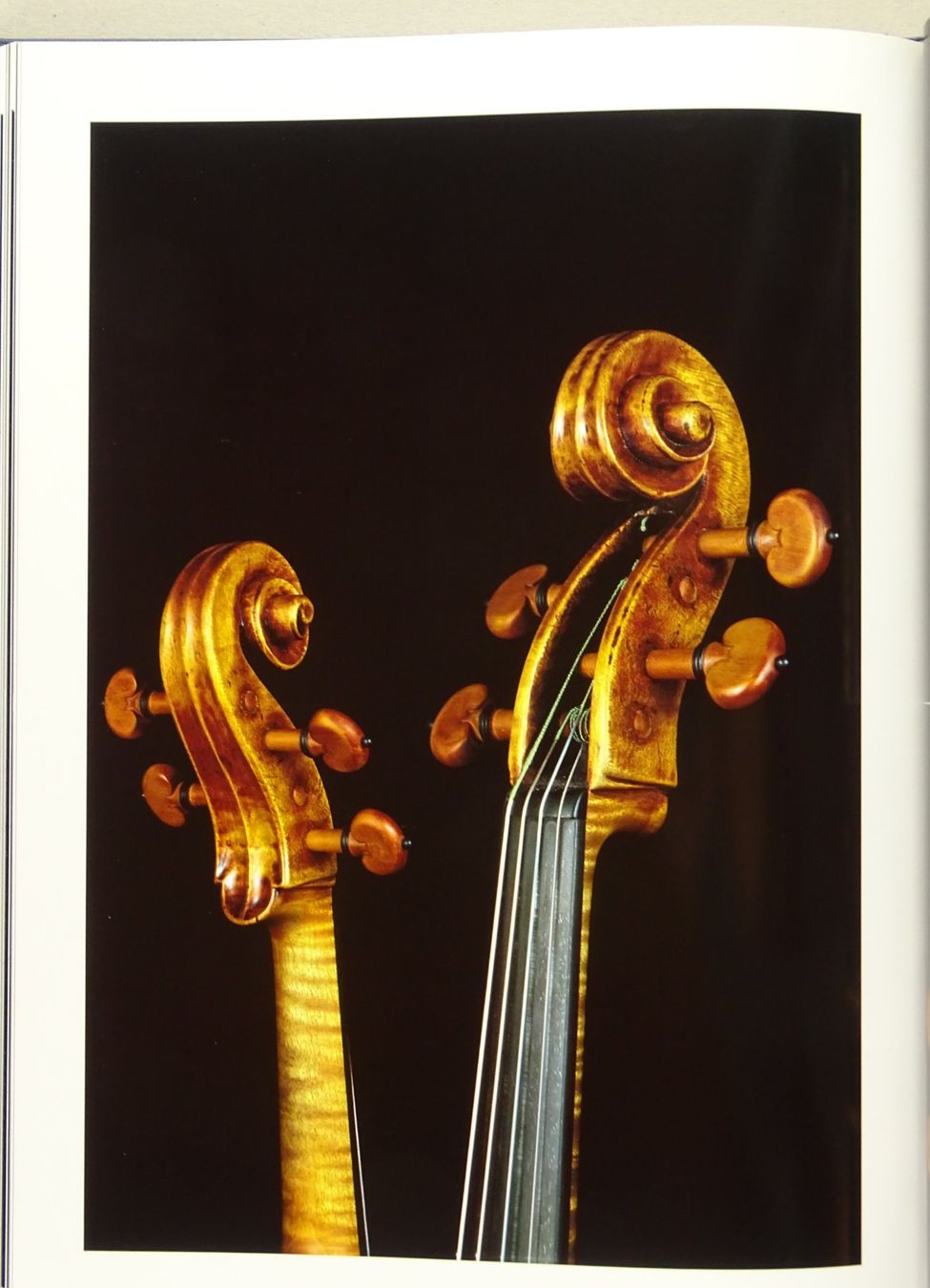 Bücher: THE STRINGED INSTRUMENT COLLECTION IN THE CORCORAN GALLERY – Gebraucht aus Grüningen von Kartensammler