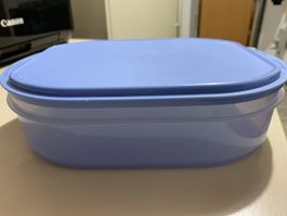 Tupperware Box für Fleisch oder Gemüse 