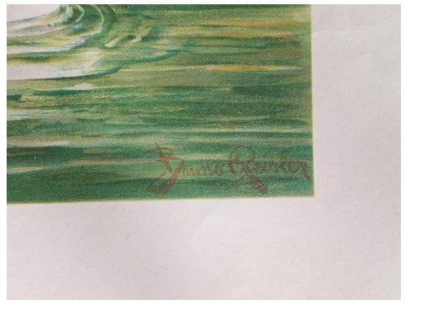 Posters & Illustrations: Schwan - ev. Bruno Geisler, Print – D'occasion à Koppigen par mic_v7ms 2