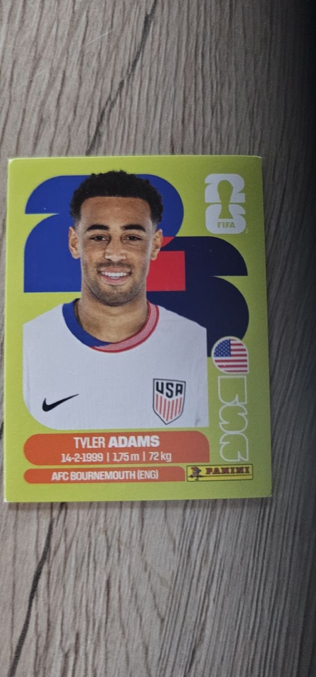 Panini Carte collezionabili: Fifa World Cup Panini USA 8 – Nuovo e nell'imballaggio originale da Biel VS venduto da volcom8702
