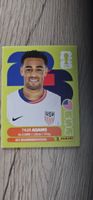 Fifa World Cup Panini USA 8