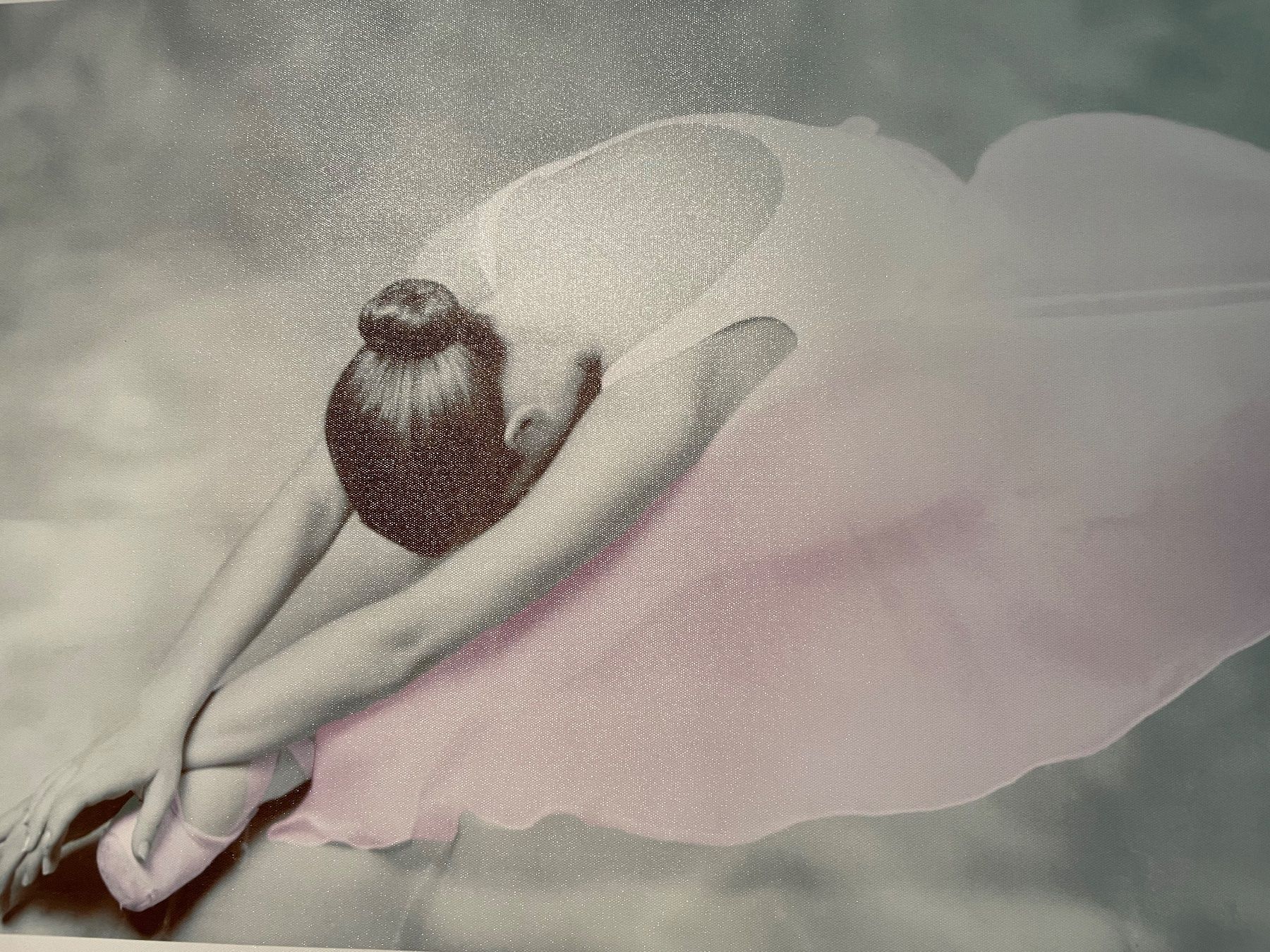 Foto & Immagini: Canvas ballerina 🩰 – Usato da Waedenswil venduto da Paps04 1
