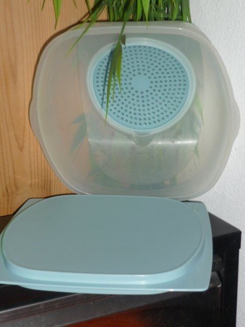 Tupperware Contenitori & Simili: TUPPERWARE CHEESMART MINI L. 20 CM. B. 20 CM. H. 8 CM. – Usato da St.Gallen venduto da Anso 1