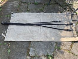 Laufriemen für Pferde an der Kutsche