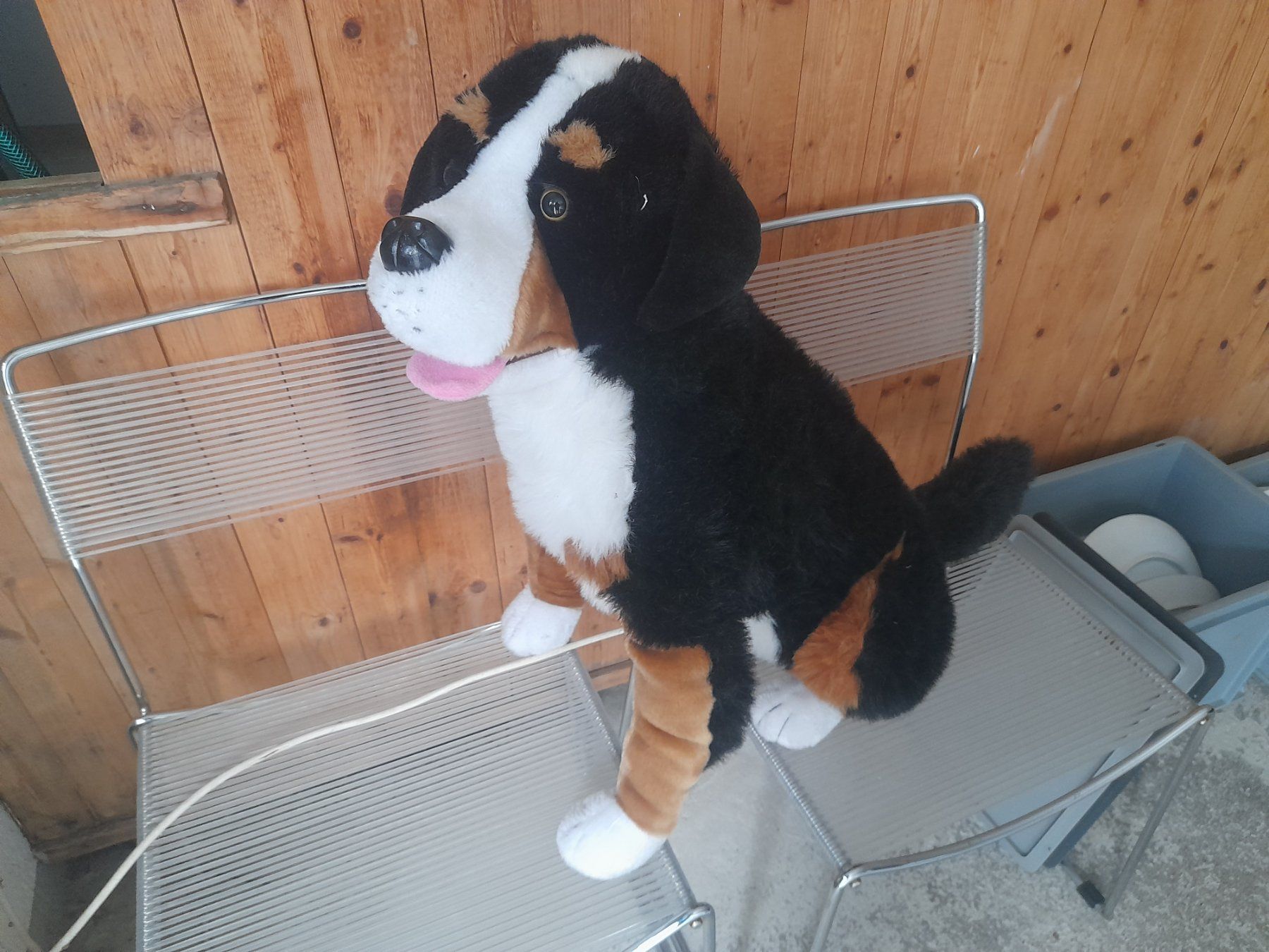 Giocattoli: Grosser Berner Sennenhund Plüsch – Usato da Lustmühle venduto da chevi03