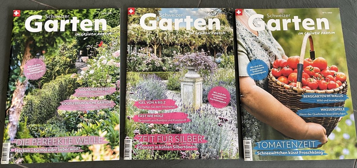 Riviste & Magazine: Schweizer Garten Zeitschriften 3 Stk. – Usato da Sax venduto da _Kornblume_