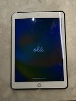 Apple iPad pro 9.7" Defekt