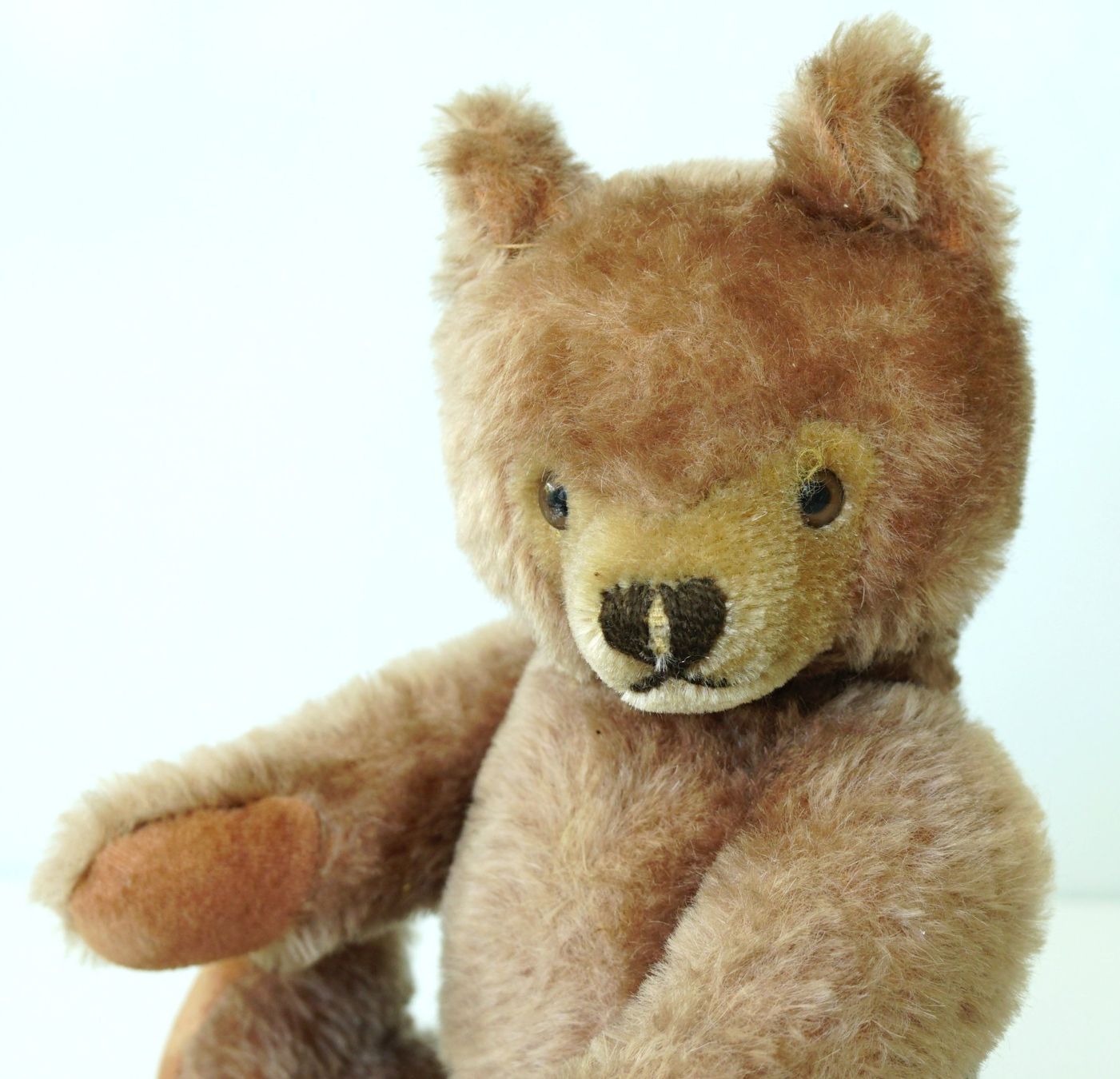 Steiff Giocattoli: Vintage Steiff Teddy, 32cm – Usato da Sissach venduto da glrpmpfk 4