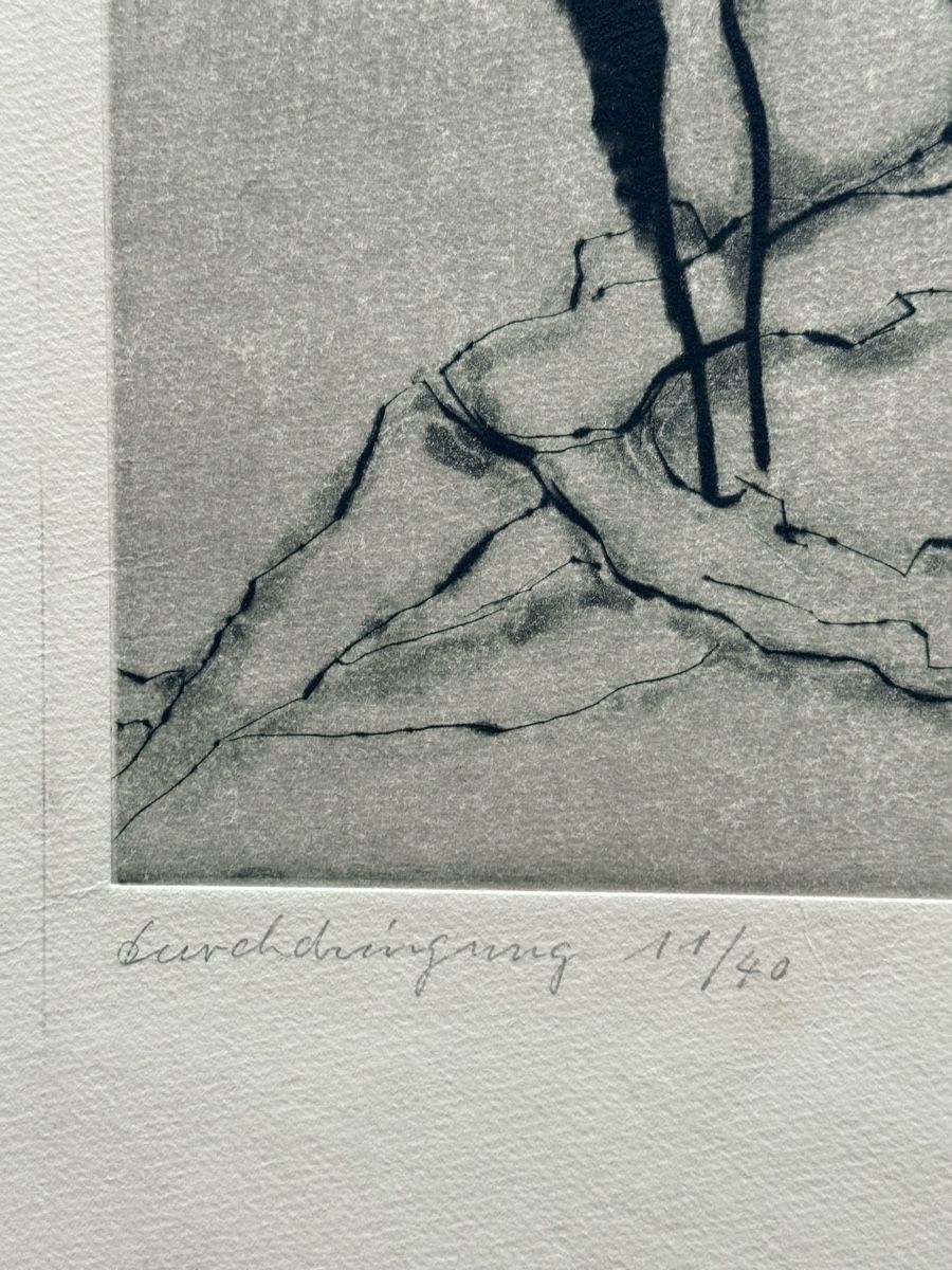 Grafica & Litografie: Louis CONNE (1905-2004) - Radierung – Usato da Solothurn venduto da NUVICO 3