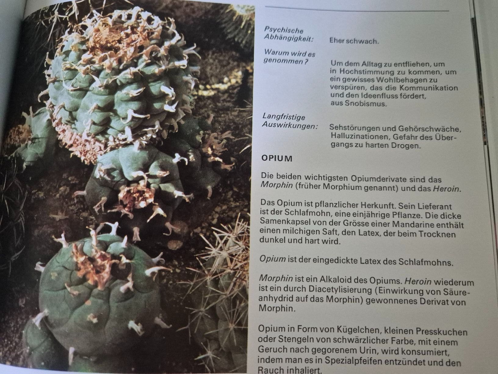 Bücher: Buch Silva "Rauschgift" – Gebraucht aus Villmergen von MONCHHICHI 3